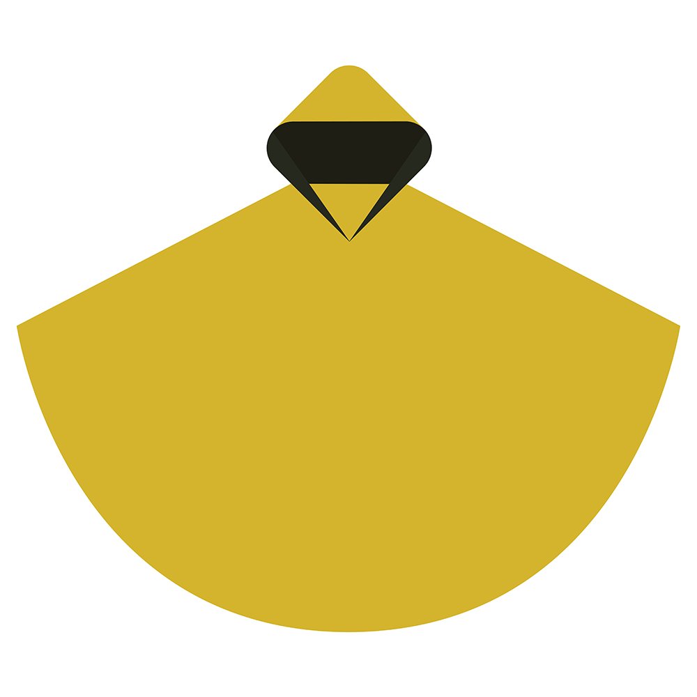 regenponcho_icon